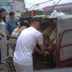 Pet Store of the Damned