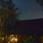 A More Zen New Year’s Celebration