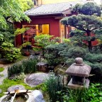 The Art of the Zen Garden