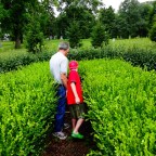 Finding the grave of George Washington’s drummer boy
