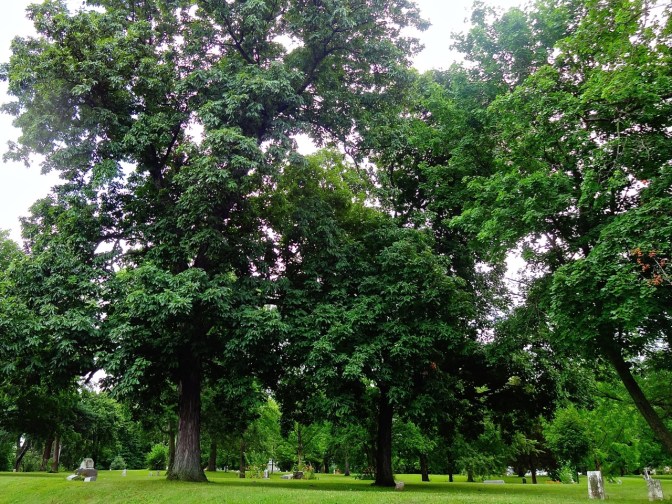Greenmount Cemetery is located between East High Street, East Main Street, Greenmount Avenue, and Florence Street in Springfield, Ohio. Greenmount has some of the few soldiers of the American Revolutionary War and the War of 1812 buried on its grounds. Most notable, the drummer boy named Merrifield "Little Daddy" Vicory was laid to rest in the cemetery and remains there today. 