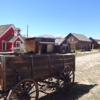 South Park-The real and unanimated one