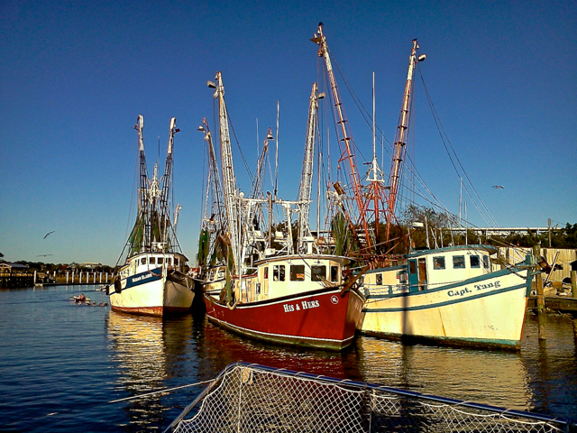 A trio of shrimp boats tie up at the town-owned docks.  Reaching its peak in the 1940's the local shrimp industry at Shem's Creek continues a downward slide with the aggressive pricing of foreign farm-raised shrimp and the general depletion of local shrimp stocks.
